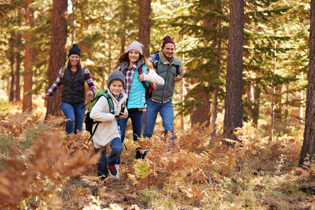 A happy young couple and their daughter and son take a hike through a forest in summer.